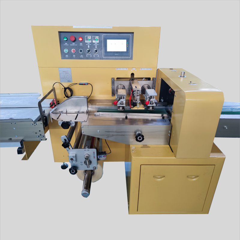 Packing Machine For Linear Guide